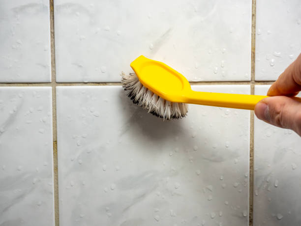 Mold Removal and Inspection in Bruce, MS